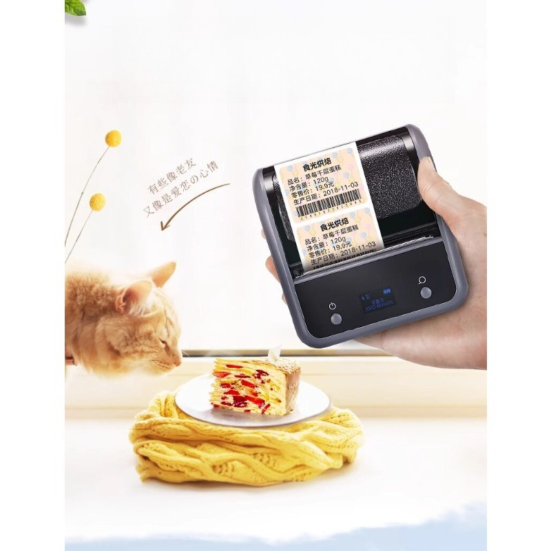 B3S Commerciële draagbare Blue - Barcode Printer recensie en prijs